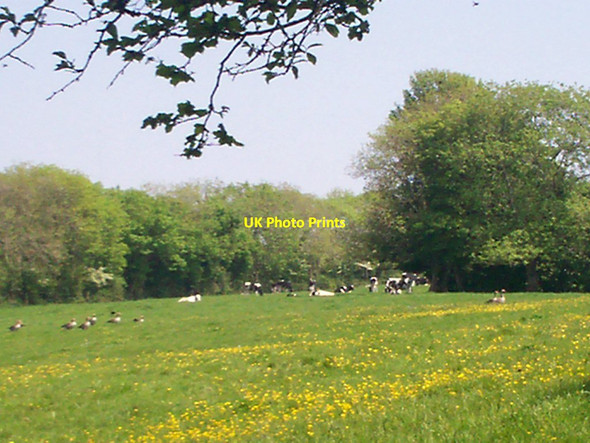 Photo 6"x4" Mountain Park field, Llanteg Llanteg c2012