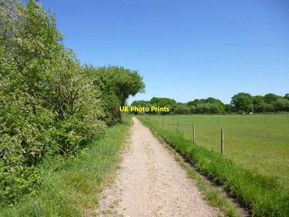 Photo 6"x4" Woolsbridge, bridleway Woolsbridge c2012