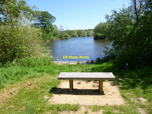 Photo 6"x4" Moors Lake, bay 16 Woolsbridge c2012