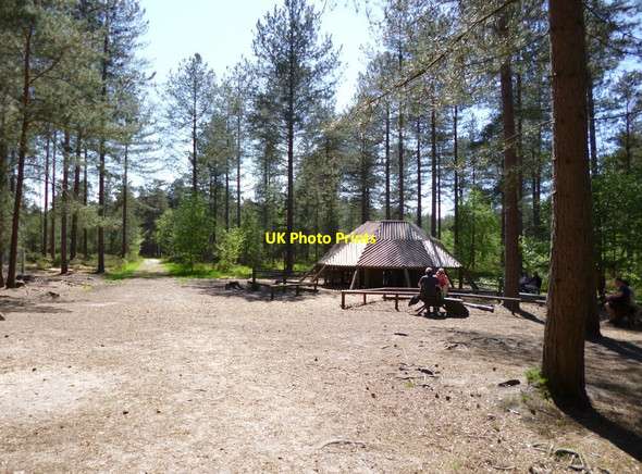 Photo 6"x4" Ashley Heath, Ants Nest Ashley Heath\/SU1104 c2012