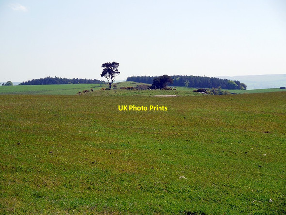 Photo 6"x4" Gled Law towards Buttony Doddington\/NT9932 c2012