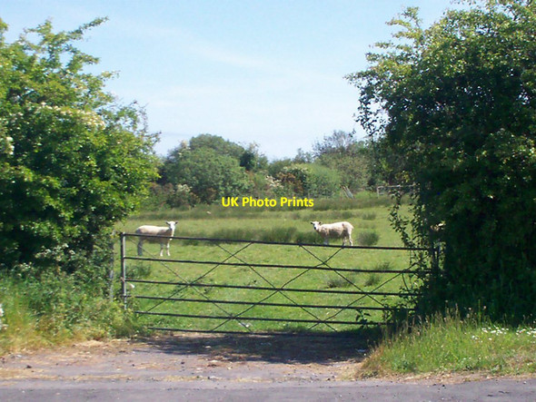 Photo 6"x4" Field Gateway, Llanteg Llanteg c2012