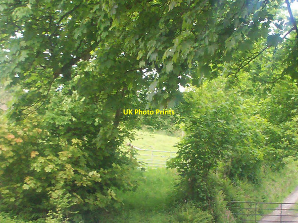 Photo 6"x4" Field Gateway, Llanteg Amroth c2012