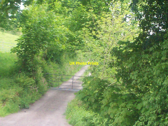 Photo 6"x4" Field Gateway, Llanteg Amroth c2012