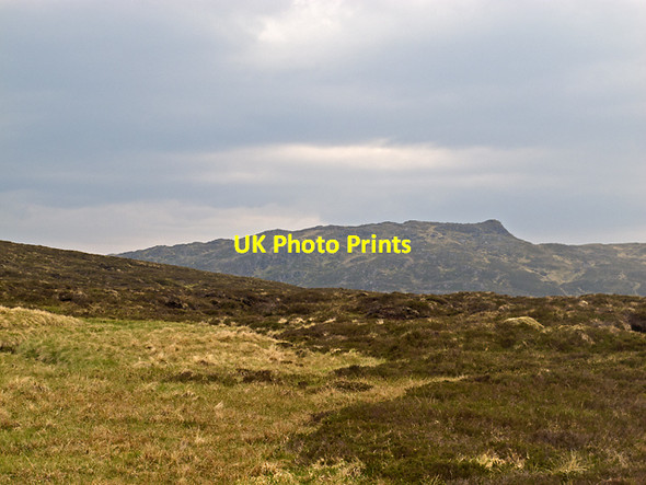 Photo 6"x4" Meallanan Odhar Allt Feith Gharuiareagan c2012