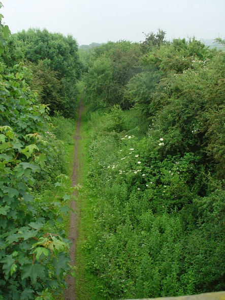 Photo 6"x4" Disused railway line, Little Grimsby Little Grimsby c2008