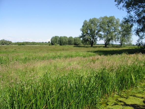 Photo 6"x4" A view across Newnham Valley Grove Hill\/TR2360 c2008