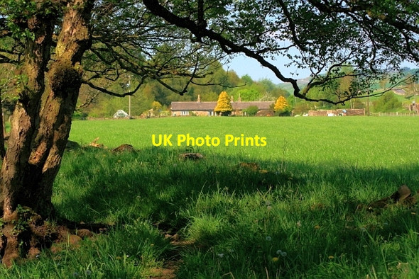 Photo 6"x4" House by the Wear Eastgate\/NY9538 c2012