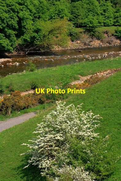 Photo 6"x4" River Wear Frosterley c2012