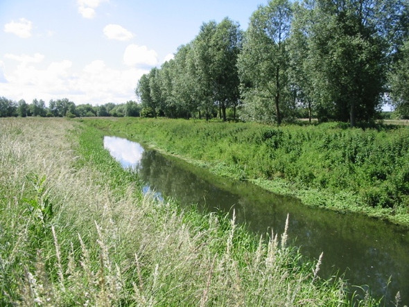 Photo 6"x4" Looking S along the Little Stour Grove Hill\/TR2360 c2008