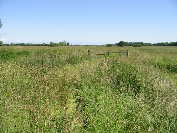 Photo 6"x4" Looking NE along the Deerson Valley Grove Hill\/TR2360 c2008