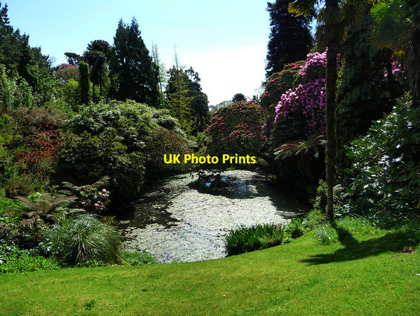 Photo 6"x4" Gardens of Heligan Kestle\/SW9945 c2012