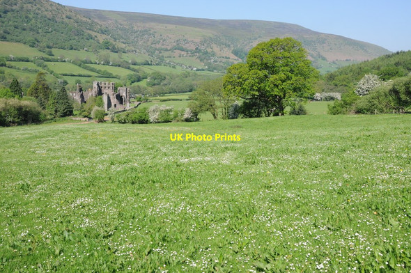 Photo 6"x4" Field above Llanthony Priory Llanthony c2012