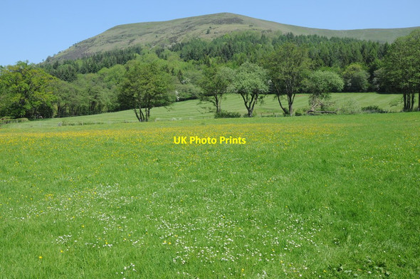 Photo 6"x4" View to Loxidge Wood and Tump Llanthony c2012