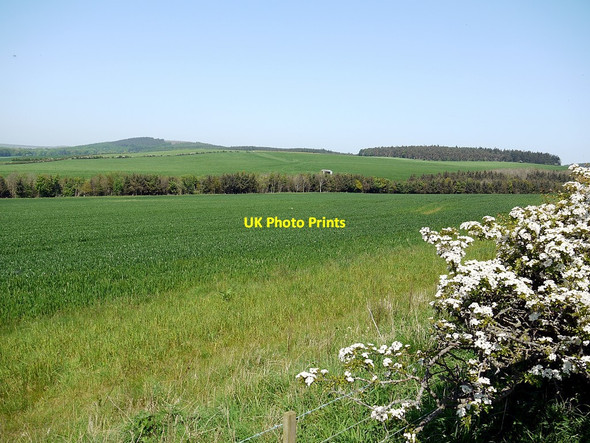 Photo 6"x4" Large arable field north-east of Doddington Doddington\/NT9932 c2012