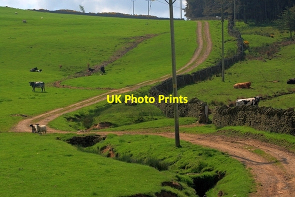 Photo 6"x4" Track to Harthope Upper Town\/NZ0737 c2012