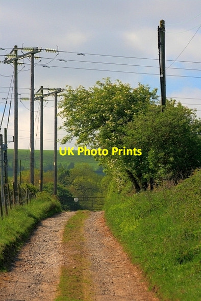 Photo 6"x4" Track to Towdy Potts Upper Town\/NZ0737 c2012