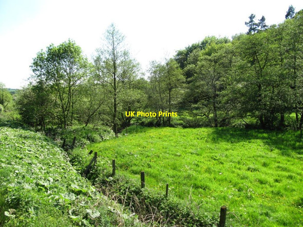Photo 6"x4" Squeezed between the Churnet and the railway Kingsley Holt c2012