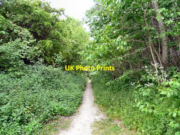 Photo 6"x4" Trans Pennine Trail Cheadle\/SJ8688 c2012