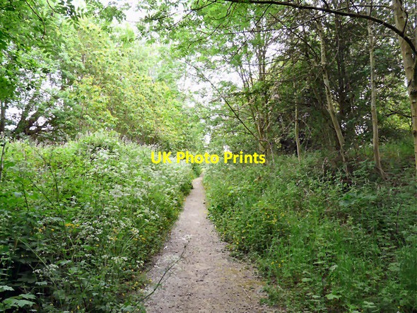 Photo 6"x4" Trans Pennine Trail Cheadle\/SJ8688 c2012