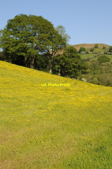Photo 6"x4" Field near Pontyspig Forest Coal Pit c2012