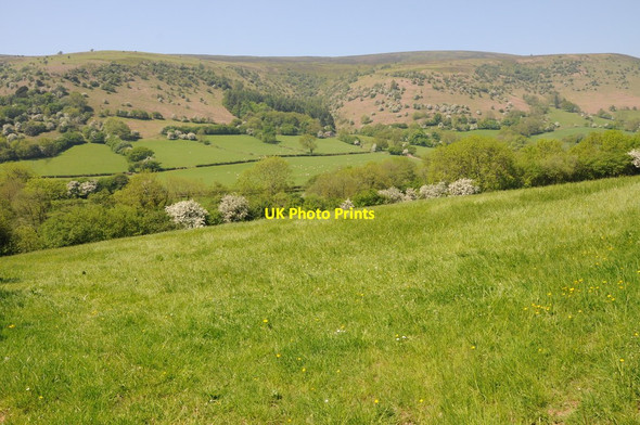 Photo 6"x4" The Vale of Ewyas Llanthony c2012