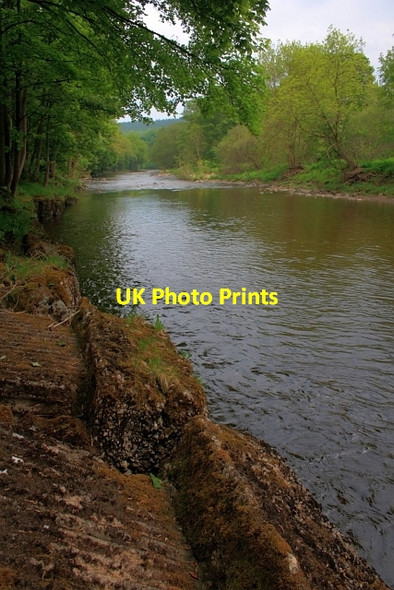 Photo 6"x4" River Wear Tow Law c2012