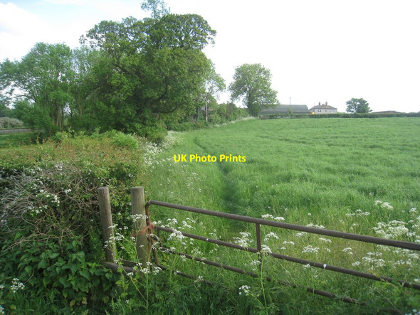 Photo 6"x4" Footpath to Butterley Park Farm Ripley\/SK4050 c2012
