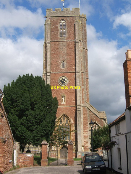Photo 6"x4" Approach to Cannington parish church Cannington c2009