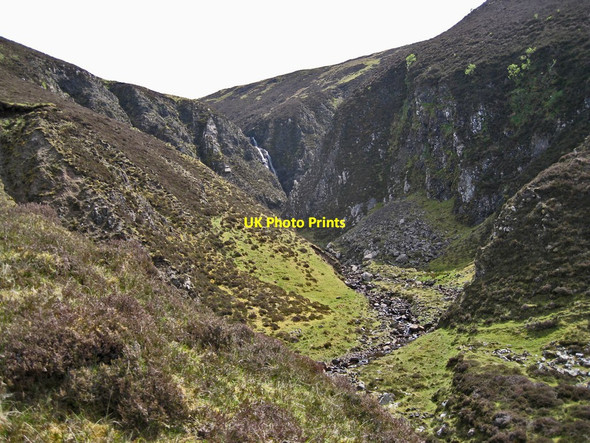 Photo 6"x4" Glen Scamadal Heribusta c2012