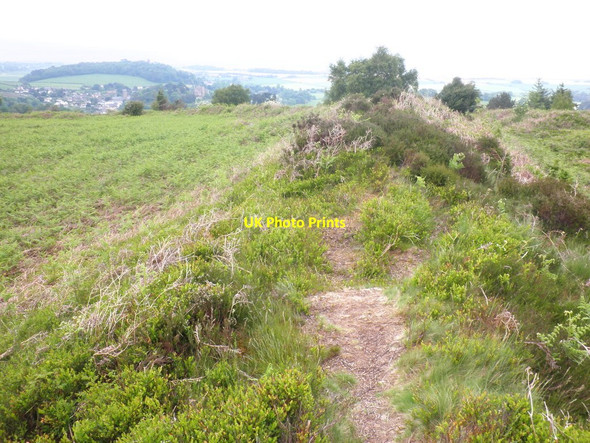 Photo 6"x4" Defensive mound and ditch, Bats Castle Dunster c2012
