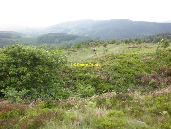 Photo 6"x4" Path, through Bats Castle Dunster c2012