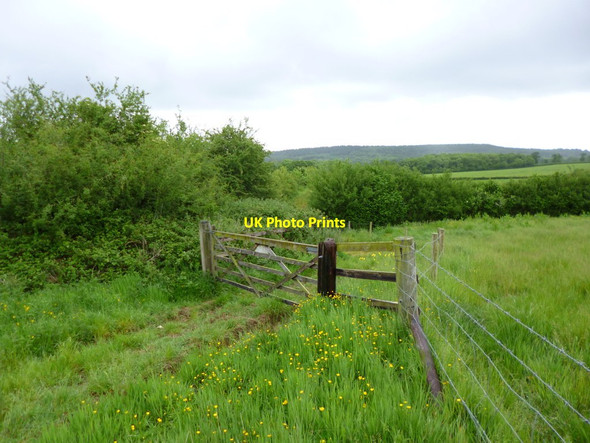Photo 6"x4" Hardway, gate Charlton Musgrove c2012