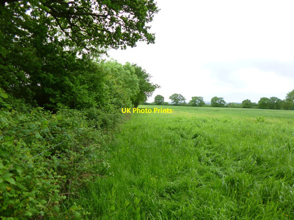 Photo 6"x4" Hardway, footpath Charlton Musgrove c2012