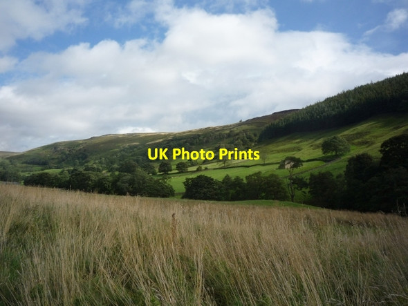 Photo 6"x4" Towards Thrope Plantation Middlesmoor\/SE0974 c2009