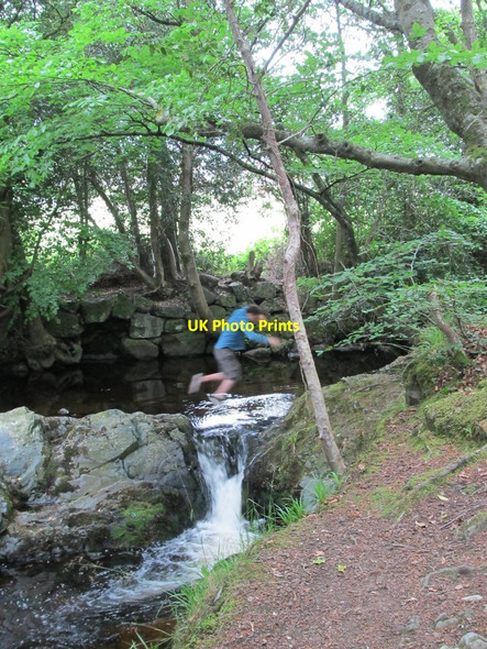 Photo 6"x4" A disaster narrowly avoided at Fairy Glen Rostrevor c2012