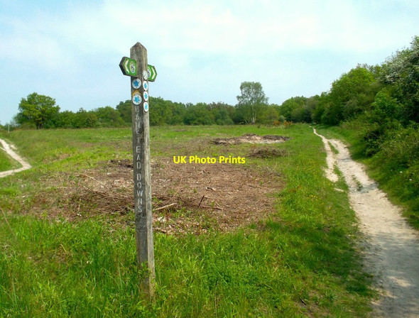 Photo 6"x4" London Loop, Banstead Downs Banstead c2012