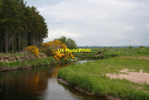 Photo 6"x4" Whins on the left banks of the Lossie Windyridge\/NJ2367 c2012