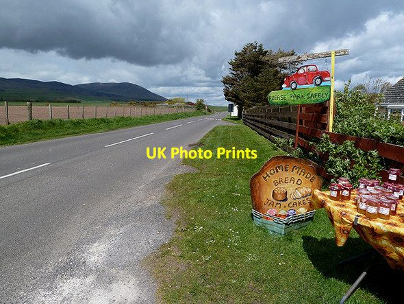 Photo 6"x4" The road at Loaningfoot East Preston\/NX9656 c2012