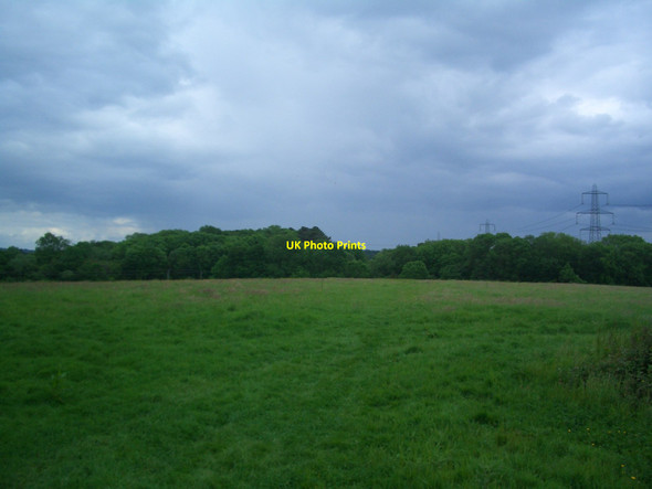 Photo 6"x4" Footpath 1814 Copsale c2012