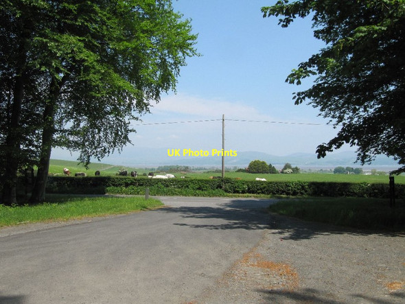 Photo 6"x4" Looking out of the Forest Kirkinner c2012