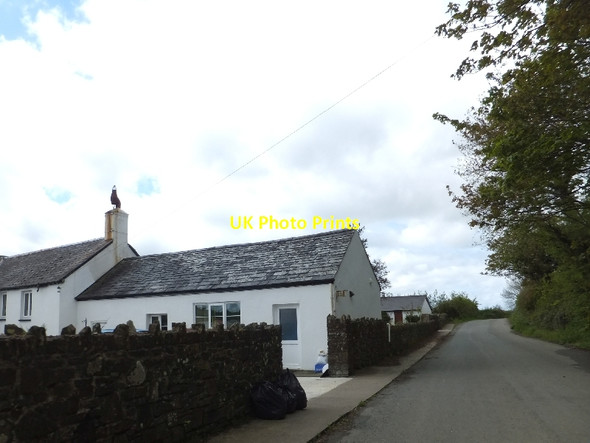 Photo 6"x4" Farm buildings at Virworthy Soldon Cross c2012