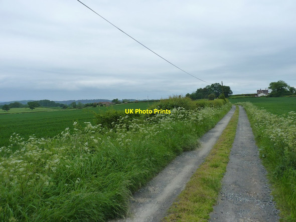 Photo 6"x4" Bridleway down to the two Binnals Nordley c2012