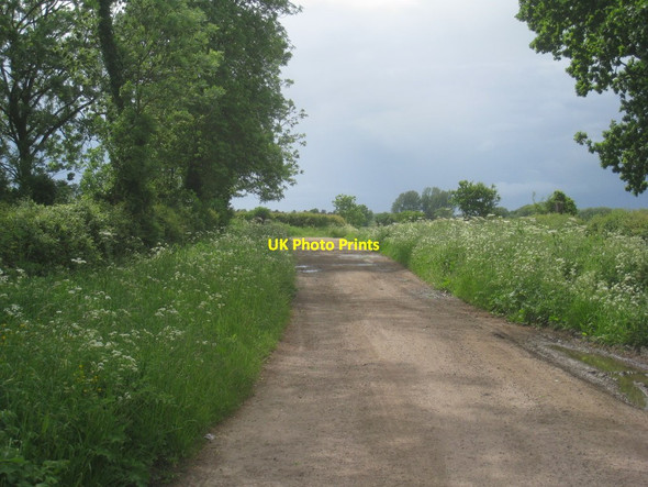 Photo 6"x4" Byway to Doddington Littlegates Brandon\/SK9048 c2012