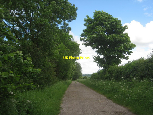 Photo 6"x4" Bridleway to Leadenham and Fulbeck Stragglethorpe\/SK9152 c2012