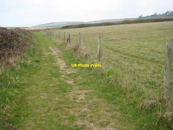 Photo 6"x4" The South West Coast Path Swyre\/SY5288 c2012