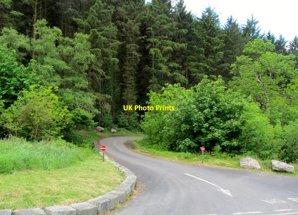 Photo 6"x4" No Entry - the junction of the up and the down lanes Rostrevor c2012