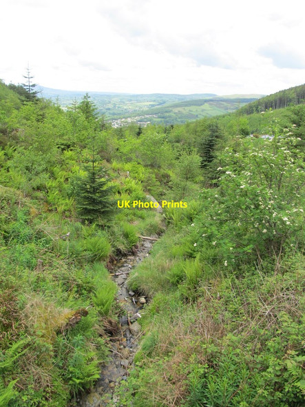 Photo 6"x4" A rocky bed of the Glen Stream Rostrevor c2012