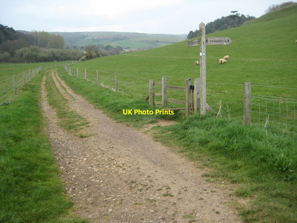 Photo 6"x4" South west Coast Path near Abbotsbury Abbotsbury\/SY5785 c2012