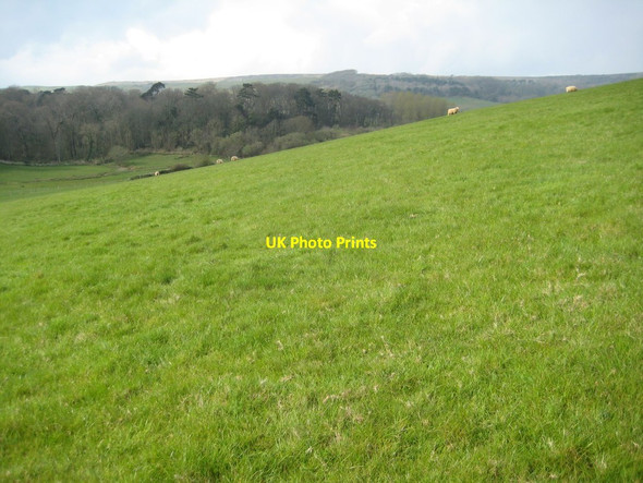 Photo 6"x4" Chapel Hill Abbotsbury\/SY5785 c2012